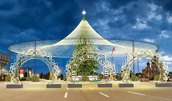 Илья Беспалов: Новая главная елка города – самая высокая стволовая ель в России