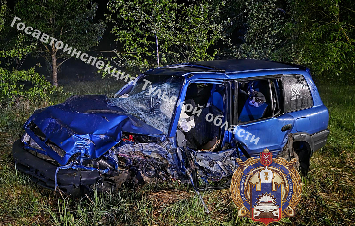 В Суворовском районе водитель Toyota потерял управление и врезался в дерево