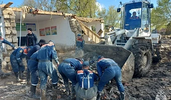 Миссия с хвостиками: тульские спасатели помогли вытащить котят во время разбора здания в Дагестане