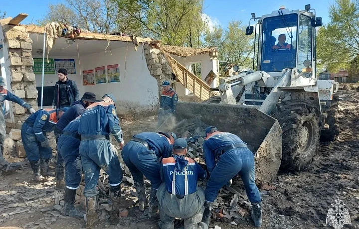 Миссия с хвостиками: тульские спасатели помогли вытащить котят во время разбора здания в Дагестане