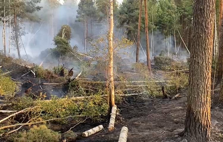 Пламя стеной: Как тульские пожарные борются с огнем в рязанских лесах