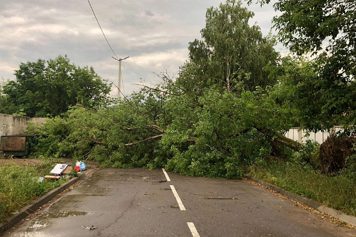 Ураган в Алексине снес крышу здания и сломал многолетнее дерево