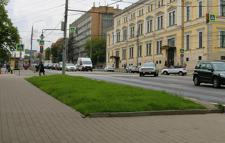 В Туле посеяно более 21 тысячи квадратных метров газонов