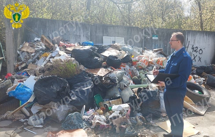 Прокуратура взяла на контроль ликвидацию свалки на улице Революции в Алексине
