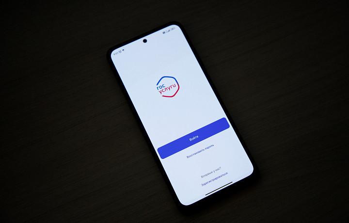 Тулякам начали блокировать аккаунты на «Госуслугах» из-за VPN