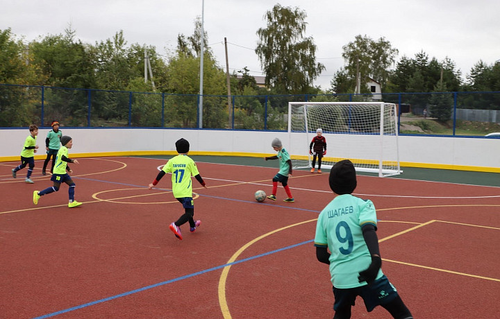 До конца года в Тульской области откроют 15 многофункциональных спортивных площадок