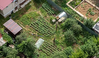 Тульским дачникам напомнили о штрафе до 50 тысяч рублей за нескошенную траву