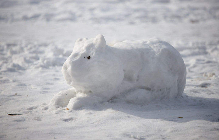 7 марта в Туле и области ожидаются снег и гололедица на дорогах