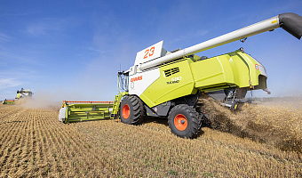 Названы районы-лидеры в Тульской области по производству зерновых и зернобобовых в 2025 году