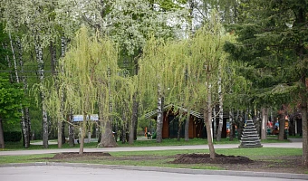 Тульская область заняла 14-е место в ЦФО по площади городских зелёных насаждений