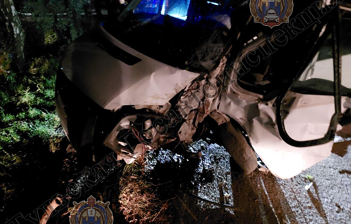 Пьяный водитель микроавтобуса врезался в дерево в Узловском районе