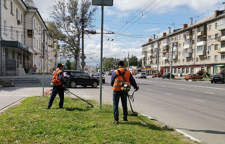 В Туле 1 июня продолжились уборка улиц и окос газонов