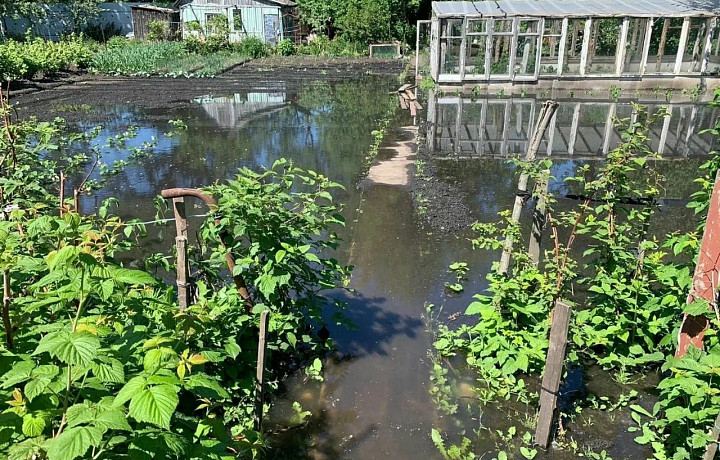 Исправительная колония Новомосковска сливала канализационные стоки: ущерб превысил три миллиона рублей