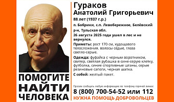 В Тульской области пропал 88-летний мужчина в фуфайке и желтым пакетом