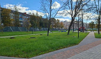 В сквере «Встреча» в Туле высаживают 650 деревьев и кустарников