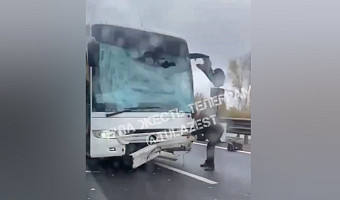 Стали известны подробности ДТП с автобусом на трассе М-4 «Дон» под Веневом