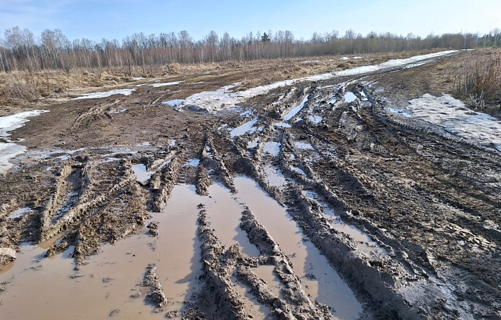 «Посоветовали оплатить строительство самостоятельно»: жители деревни под Веневом из-за плохой дороги оказались отрезаны от цивилизации