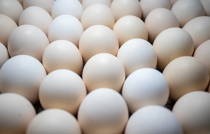 Средняя цена на яйца в Тульской области превысила 130 рублей