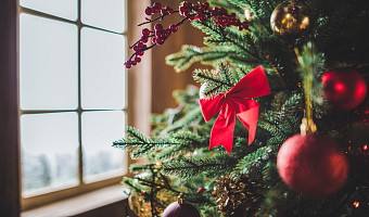 Одиноким пожилым тулякам старше 90 лет хотят подарить новогодние праздничные наборы