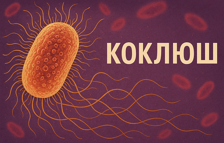 Стодневный кашель: педиатр Дарья Моисеева рассказала, чем опасен коклюш