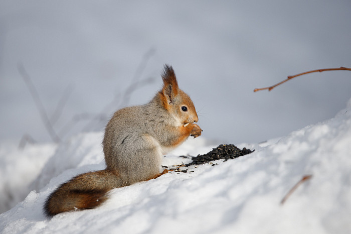 Дети на катке, бабушки – на качелях: в Тульскую область пришла календарная весна