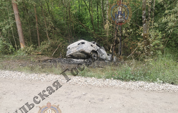 Водитель «Лады» погиб на месте ДТП в Алексинском районе