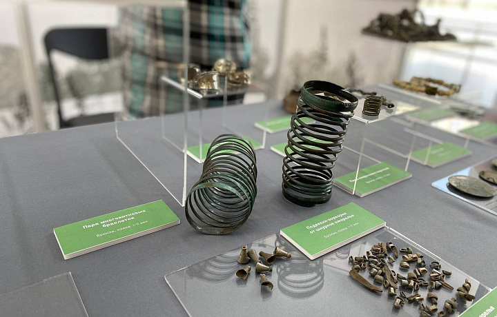 Музею «Куликово поле» передан археологический клад, найденный неподалеку от Тулы черным копателем