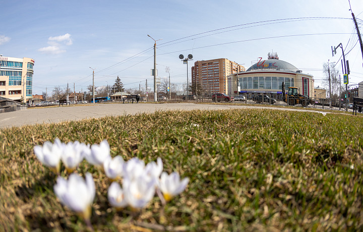 В Тульскую область вернется 20-градусное майское тепло