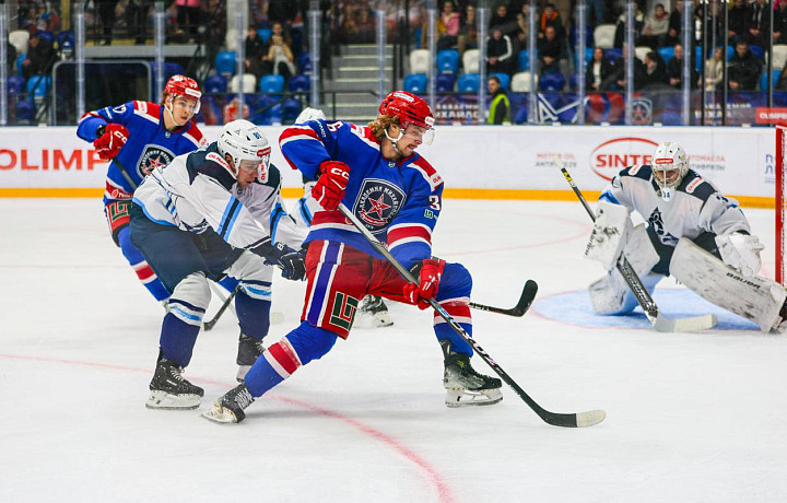 Тульский АКМ завершил домашнюю серию матчей, обыграв «Динамо-Алтай»