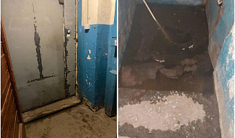 Подвал пятиэтажки в Туле постоянно затоплен: жители заявили, что в квартирах уже живут улитки