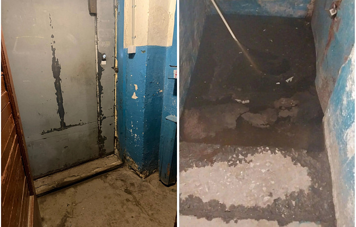Подвал пятиэтажки в Туле постоянно затоплен: жители заявили, что в квартирах уже живут улитки