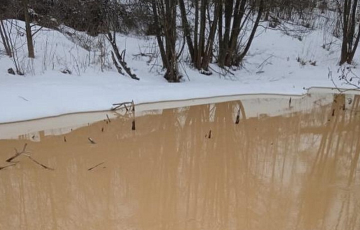 В Туле пожаловались на загрязнение реки Волоть стоками