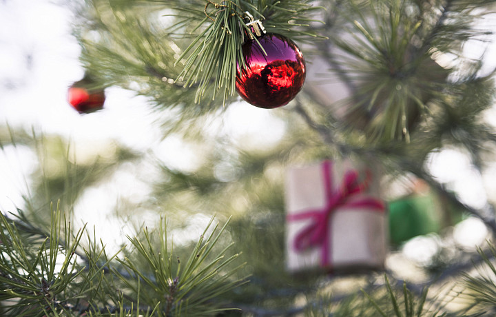 Елка в вате, гирлянда и кот без присмотра, салют в ветер: тульские спасатели назвали главные ошибки, которые могут омрачить новогодние праздники и привести к беде