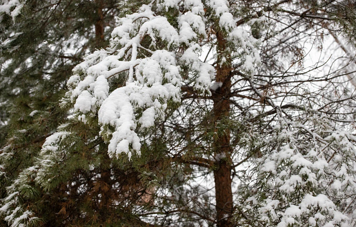 29 ноября в Туле ожидается похолодание до -6 градусов