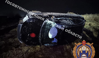 Два человека пострадали в результате опрокидывания иномарки в Куркинском районе