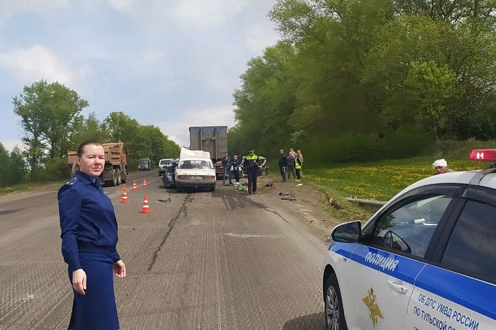 Стали известны подробности массового ДТП с фурой на трассе М-2 в Чернском районе