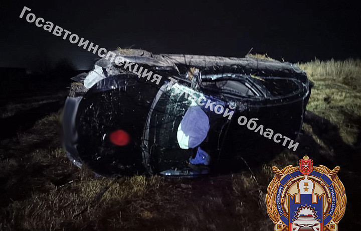 Два человека пострадали в результате опрокидывания иномарки в Куркинском районе