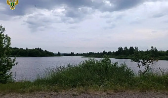 Две девочки утонули в озере в Узловском районе