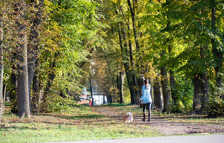 В Тулу идет Бабье лето: в городе потеплеет с 12 по 18 сентября