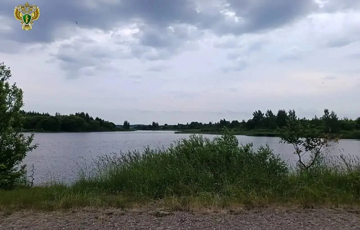 Две девочки утонули в озере в Узловском районе