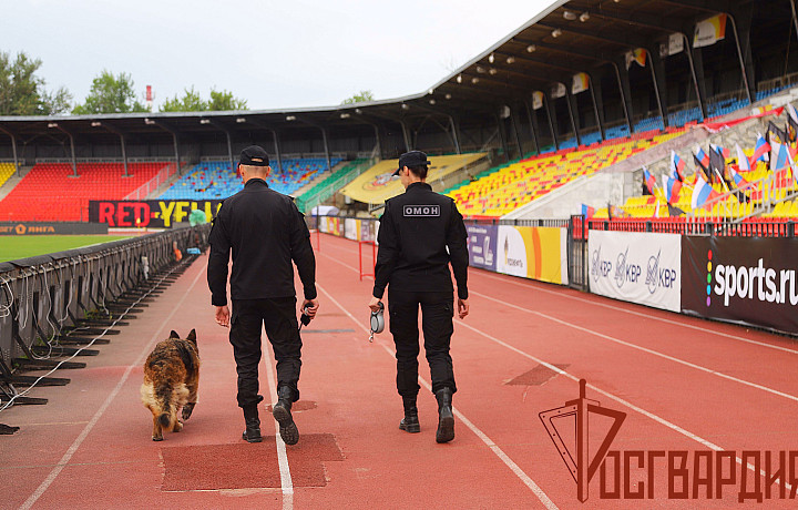 Сотрудники Росгвардии обеспечат безопасность на футбольном матче в Туле