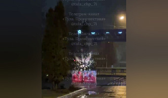 В Пролетарском парке Тулы заискрилась новогодняя ёлка