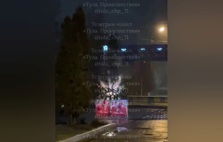 В Пролетарском парке Тулы заискрилась новогодняя ёлка