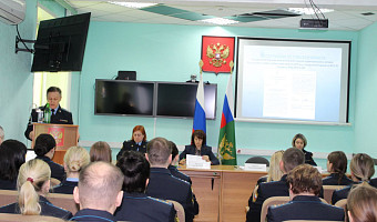 В Тульской области за 2025 год к уголовной ответственности привлечено 743 должника