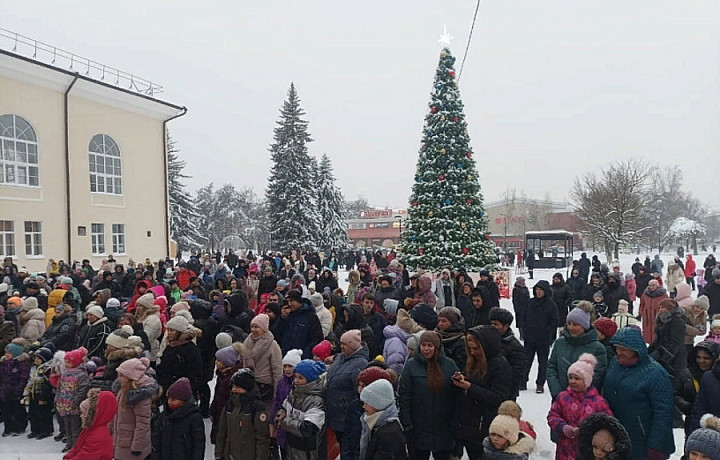 В Алексине состоялось открытие главной новогодней елки города