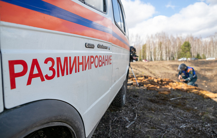 В Кимовском районе нашли и обезвредили мину времен ВОВ