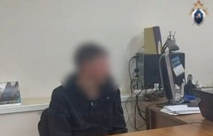 В Туле разыскали водителя электросамоката, который сбил пенсионерку на улице Кауля