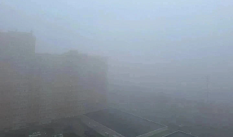 В Тульской области объявлено метеопредупреждение из-за тумана