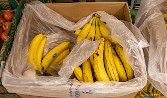 В Росконтроле рассказали тулякам, как выбирать бананы