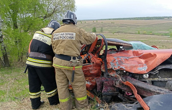 Двое мужчин погибли и трое пострадали в ДТП с микроавтобусом в Киреевском районе Тульской области